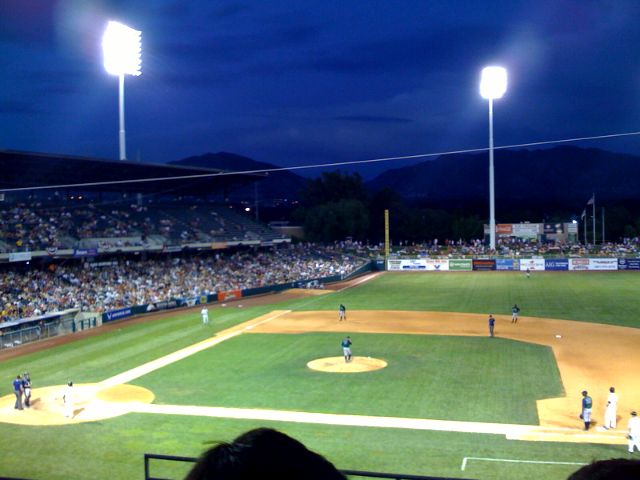 At the Bees Game